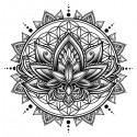 تیشرت Lotus Mandala - Black