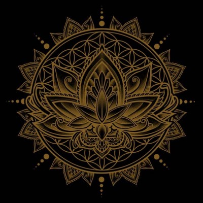 تیشرت Lotus Mandala - Gold