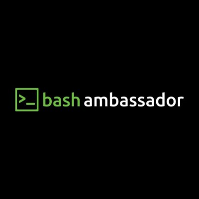 تیشرت BASH AMBASSADOR