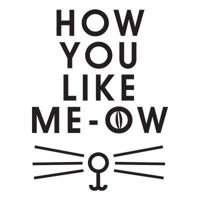 تیشرت آستین بلند رگلان How You Like Meow