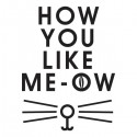 تیشرت آستین بلند رگلان How You Like Meow