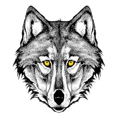 سویشرت ملانژ طرح Savage Wolf