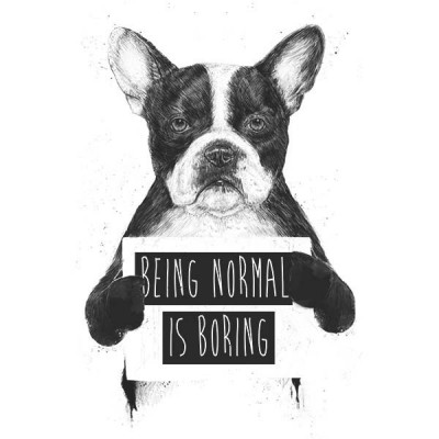 تیشرت آستین بلند Being normal is boring