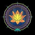 سویشرت هودی The Circle of Lotus Flower in Sunset Colours