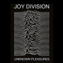 تیشرت Unknown Pleasures