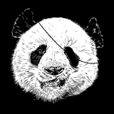 سویشرت هودی Endangered Pirate