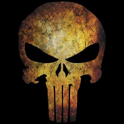 سویشرت هودی Punisher Skull Logo