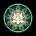 سویشرت هودی Lotus