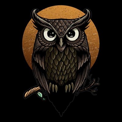تیشرت Owl - Fullmoon