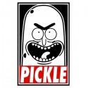 تیشرت آستین بلند رگلان Rick And Morty - Pickle Rick