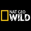 سویشرت هودی National Geographic Wild