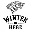 تیشرت آستین بلند رگلان Winter is Here