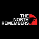 تیشرت The North Remembers