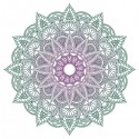 تیشرت Absolut Mandala