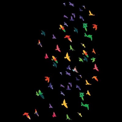 تیشرت Colorful flying birds