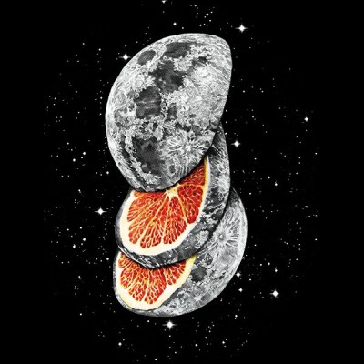 تیشرت Lunar Fruit
