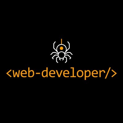 تیشرت طرح WEB DEVELOPER