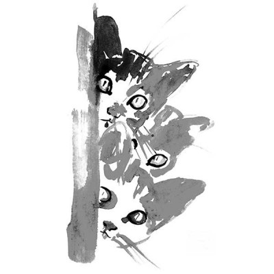 تیشرت دخترانه Three Little Kittens