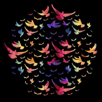 تیشرت Colorful bird pattern