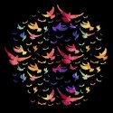 تیشرت Colorful bird pattern