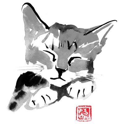 تیشرت دخترانه Sleeping cat