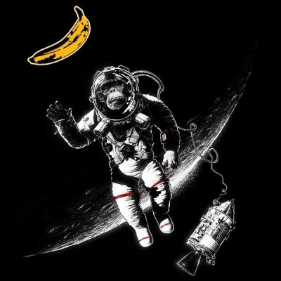 تیشرت Space Monkey