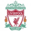 سویشرت هودی ملانژ You'll Never Walk Alone