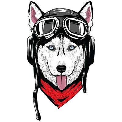 تیشرت آستین بلند رگلان Husky with Helmet