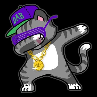 تیشرت Dabbing Cat