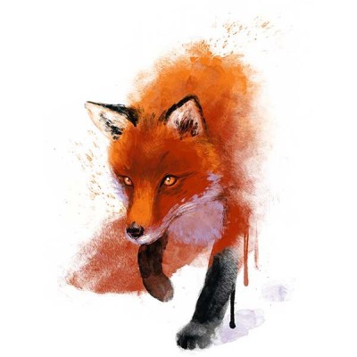 تیشرت Fox ink