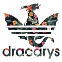 تیشرت دخترانه Game Of Thrones Dracarys Adidas