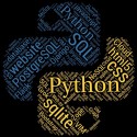 تیشرت Python Programmer