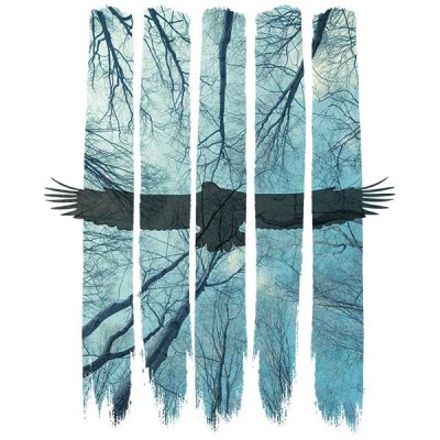 تیشرت Misty Forest Eagle