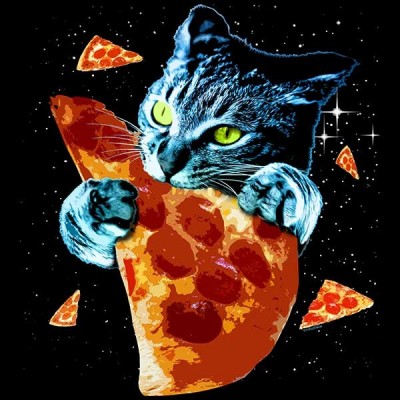 تیشرت Pizza Cat in Space