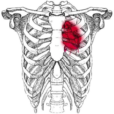 تیشرت Bloody bones