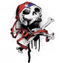 تیشرت Jolly Roger