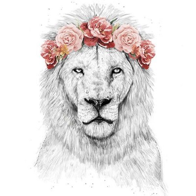 تیشرت دخترانه Festival lion