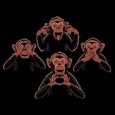 تیشرت دخترانه Three wise monkey and one lover