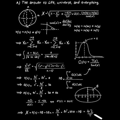 تیشرت آستین بلند THE ANSWER