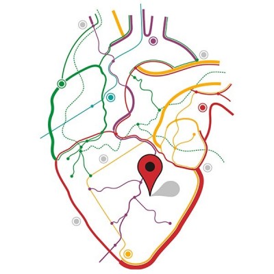 تیشرت دخترانه You Are Here