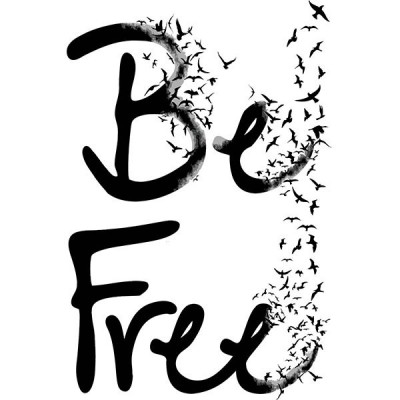 تیشرت آستین بلند رگلان Be Free