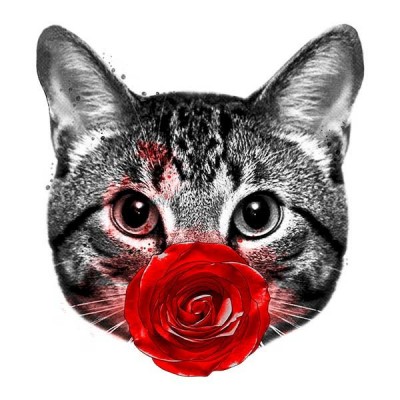 تیشرت دخترانه Red Cat