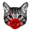 تیشرت دخترانه Red Cat