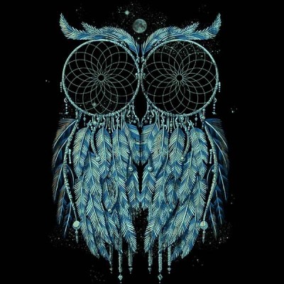تیشرت دخترانه Owl Dream